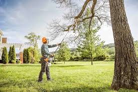 How Our Tree Care Process Works  in Mastic Beach, NY